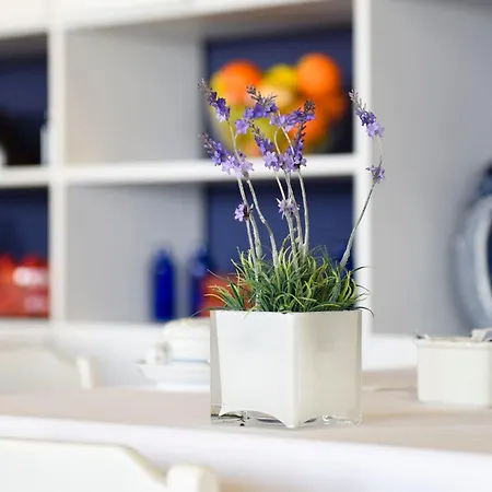 Aparthotel Solverde
