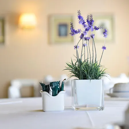 Solverde Aparthotel Espinho (Aveiro)